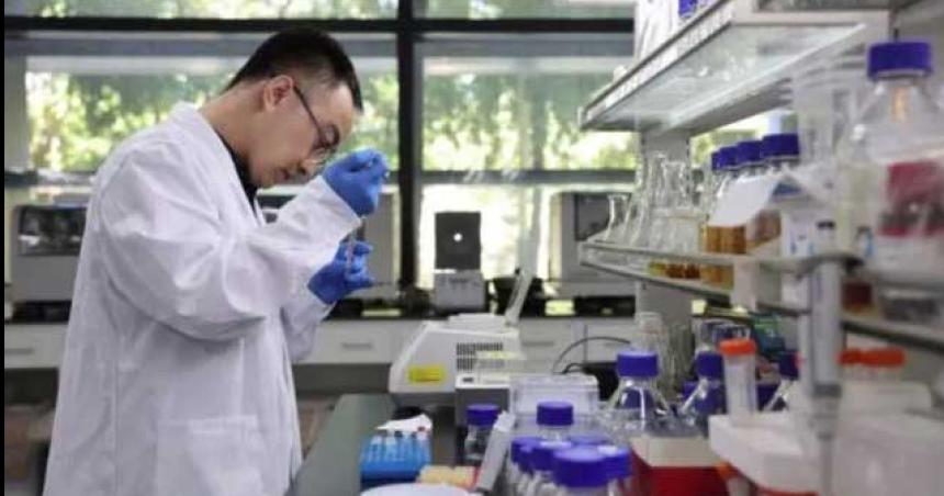 Cientiacuteficos chinos logran sintetizar azuacutecar a partir de CO2