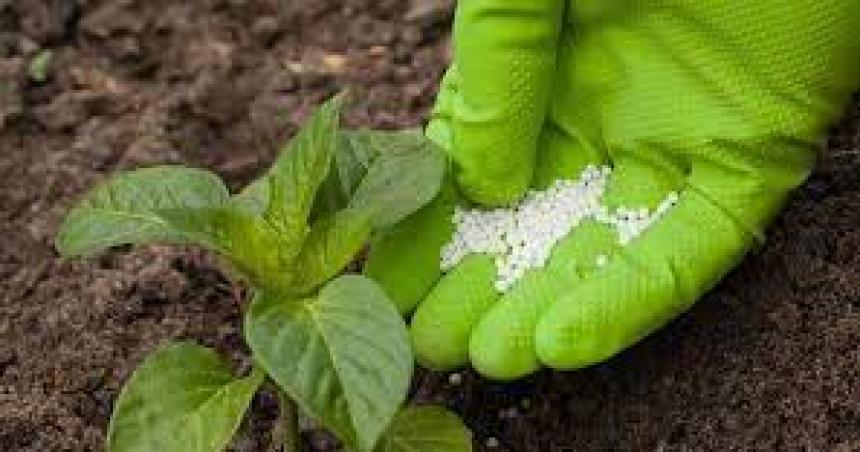 Invierten en urea fertilizante