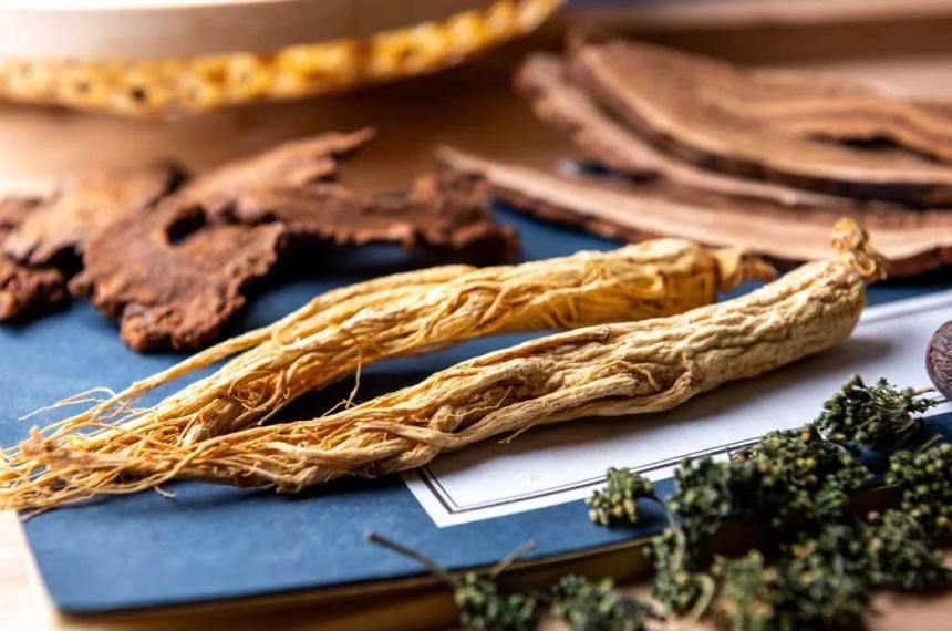 Queacute es el ginseng y cuaacuteles son sus beneficios para la salud