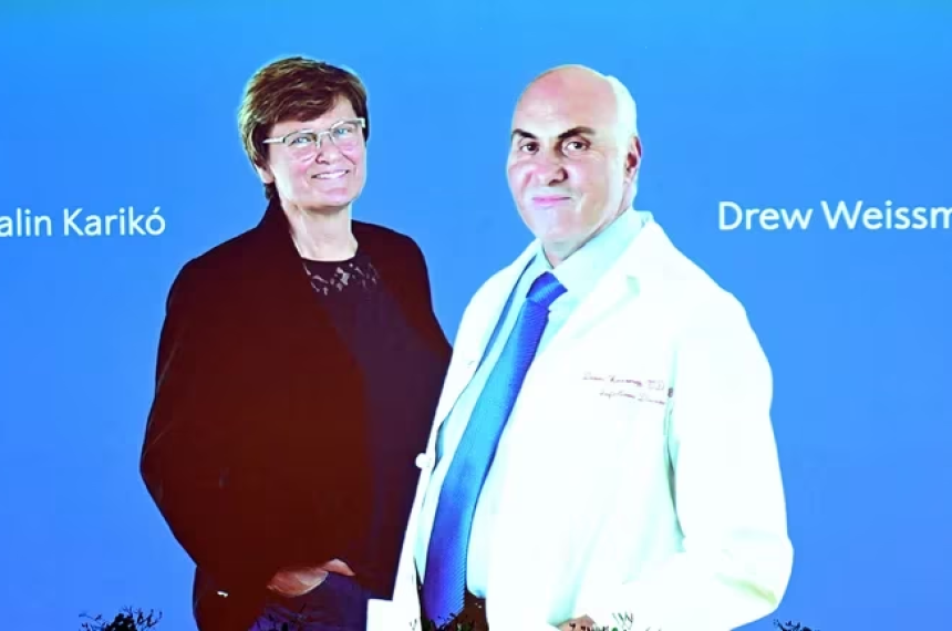 El premio Nobel de Medicina 2023 fue a cientiacuteficos de las vacunas ARN mensajero