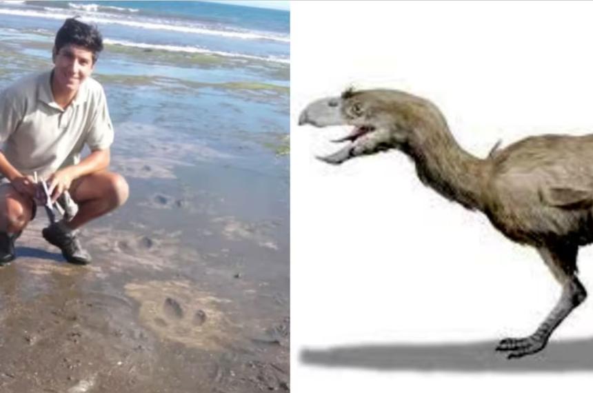 Investigadores de la UNLPam analizan huellas foacutesiles de un ave prehistoacuterica gigante