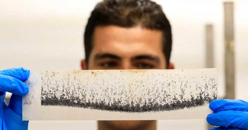 Mosquitos geneacuteticamente modificados acabariacutean con enfermedades transmitidas por ellos