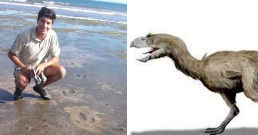 Investigadores de la UNLPam analizan huellas foacutesiles de un ave prehistoacuterica gigante