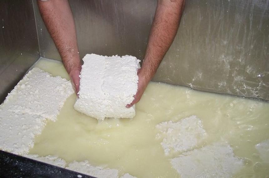 La comida no se tira el problema de la industria lactea