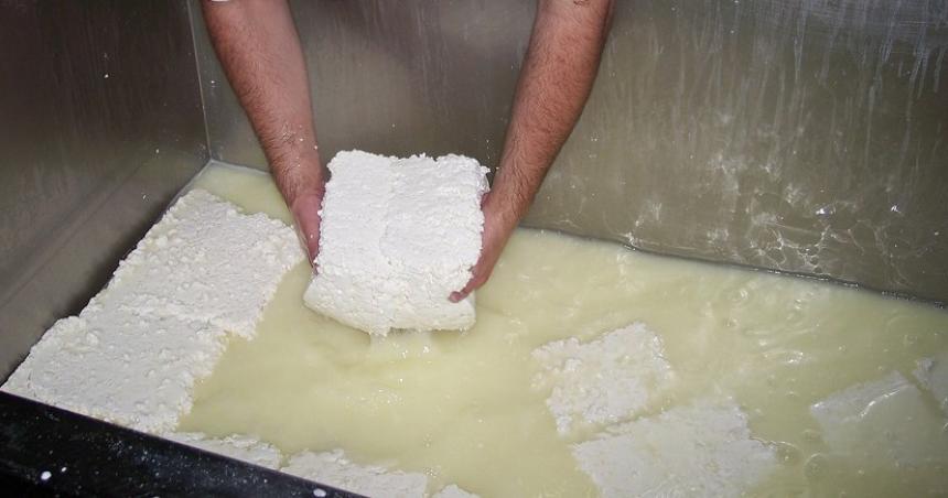 La comida no se tira el problema de la industria lactea