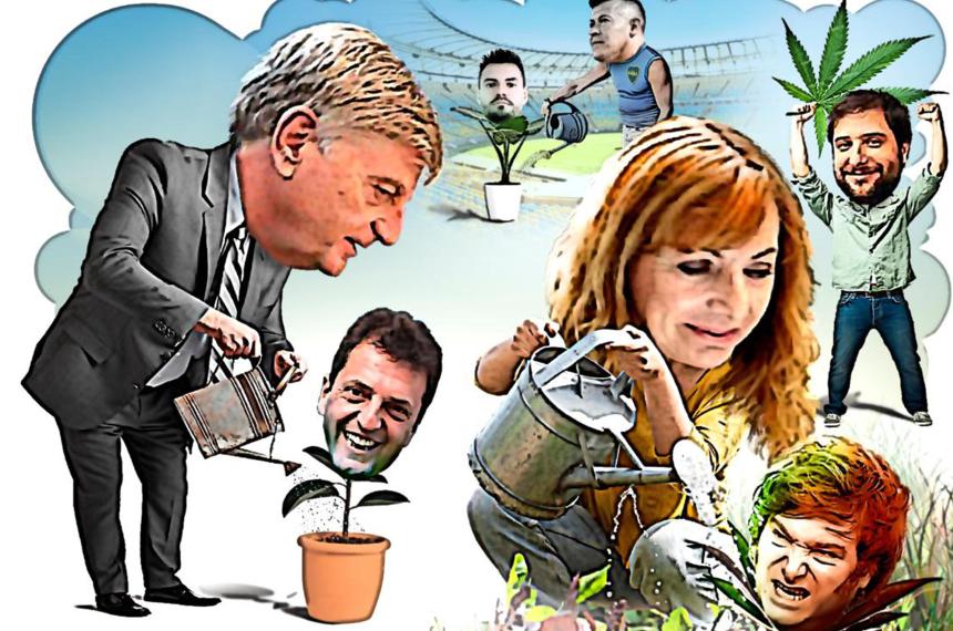 Hay que regar la plantita