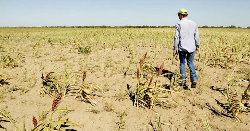 Ampliaron y prorrogaron la emergencia agropecuaria en la provincia