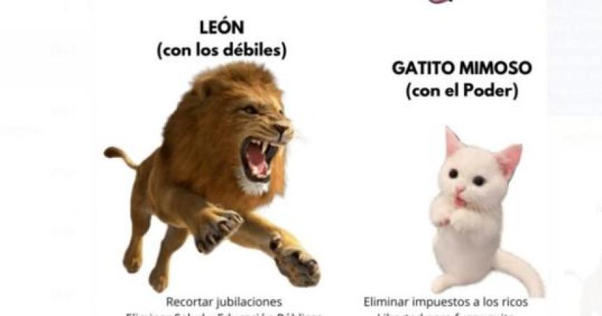 Un candidato a intendente de Milei le hizo juicio a una militante social por un meme