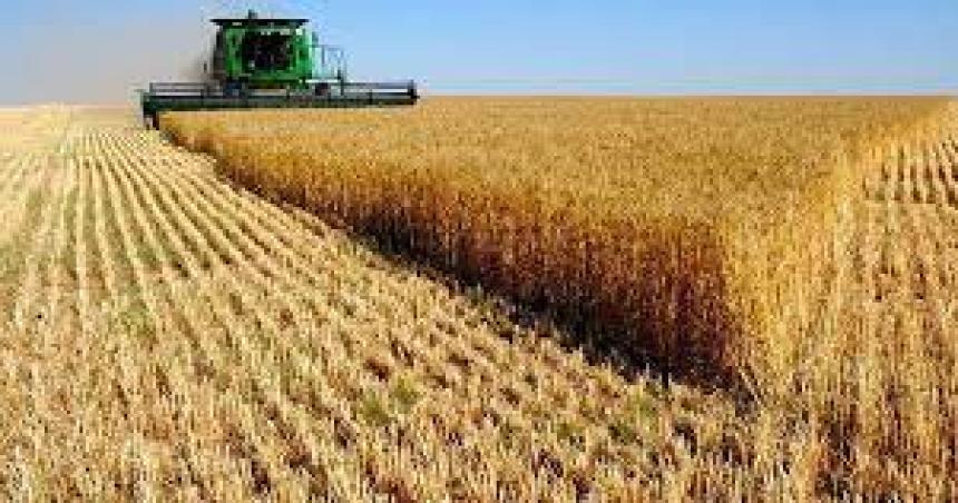 Debate sobre la importancia del estado en el desarrollo del agro