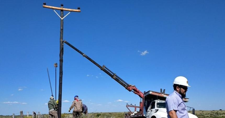  Rechazan suspender una obra eleacutectrica que pone en riesgo aves rapaces