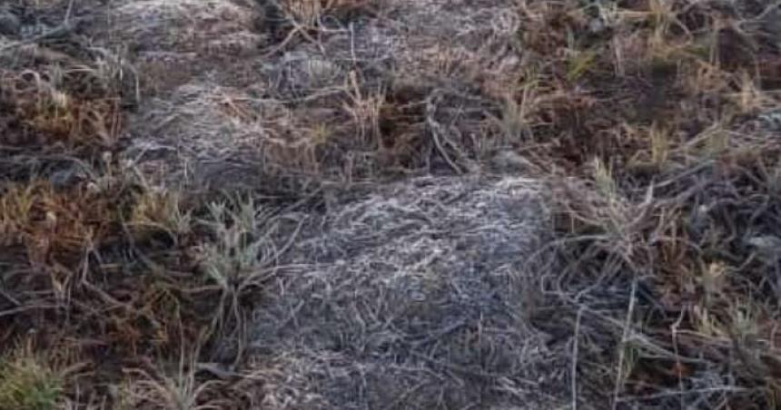Heladita en el sur de la provincia