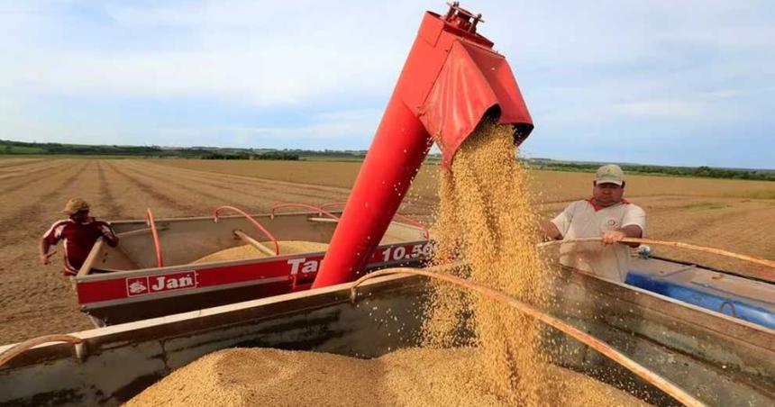 Soja- las lluvias mejoraron el panorama y el cultivo podriacutea aportar USD 20000 millones