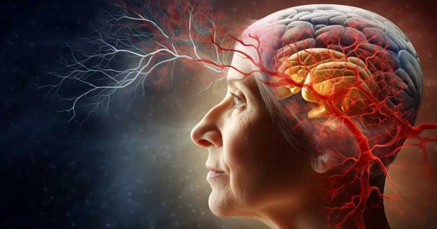 Cuaacutel es el impacto de la contaminacioacuten aeacuterea en el cerebro