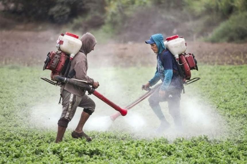 El uso de pesticidas provoca leucemia