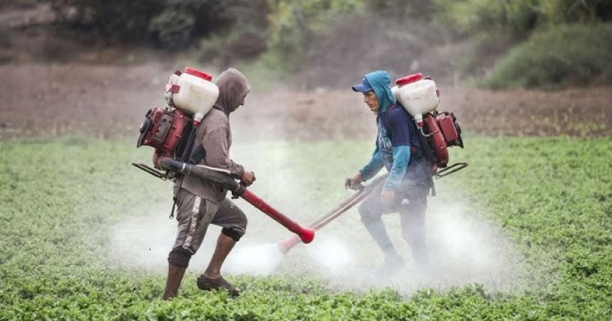 El uso de pesticidas provoca leucemia