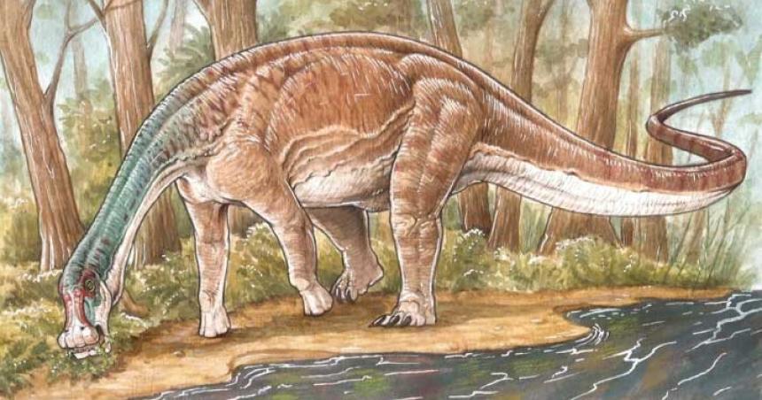 Descubren una nueva especie de dinosaurio titanosaurio en Neuqueacuten