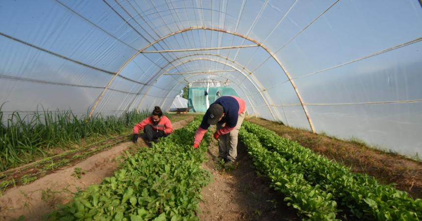 El CERET hace muestra de nuevas formas de produccioacuten