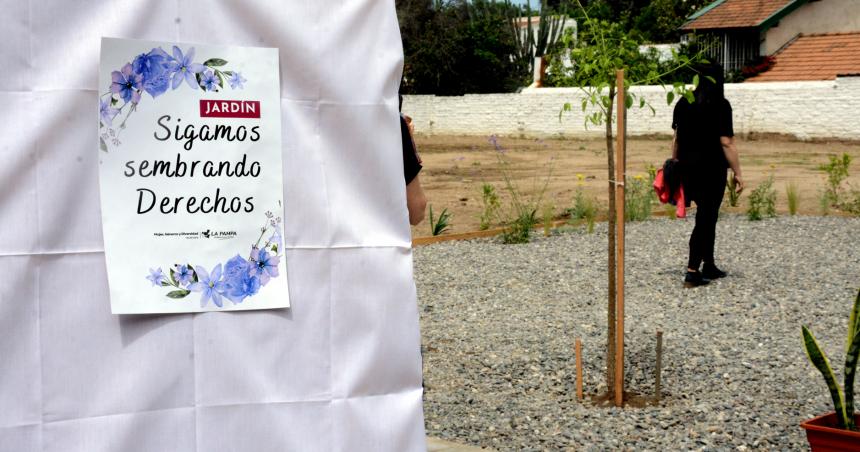 Caminata placa y muestra por el 25N