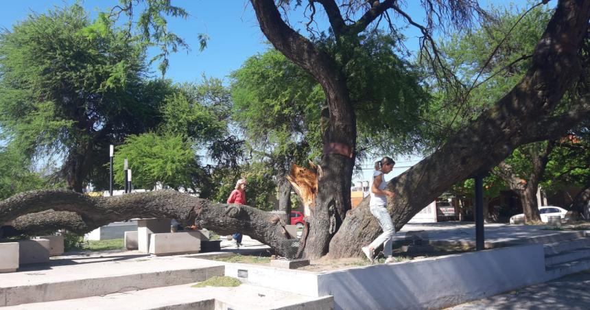 Cortes de luz y dantildeos en la ciudad por los fuertes vientos de 85 kmh