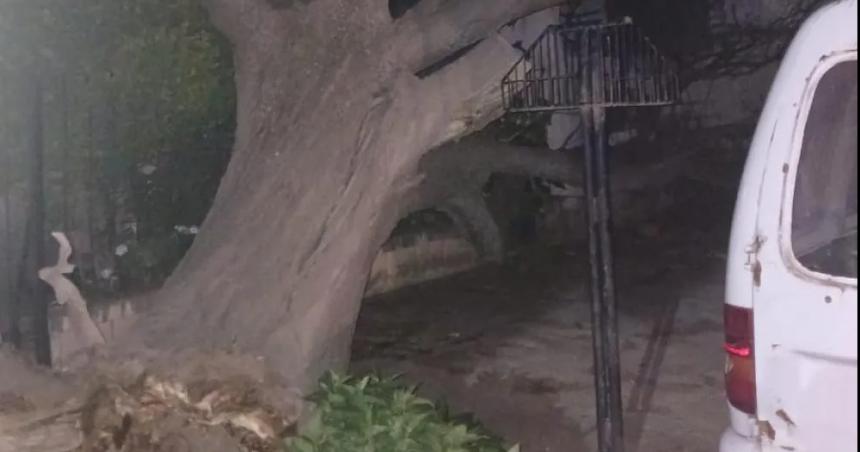 La CPE dice que tuvo una intensa actividad para reparar dantildeos del viento