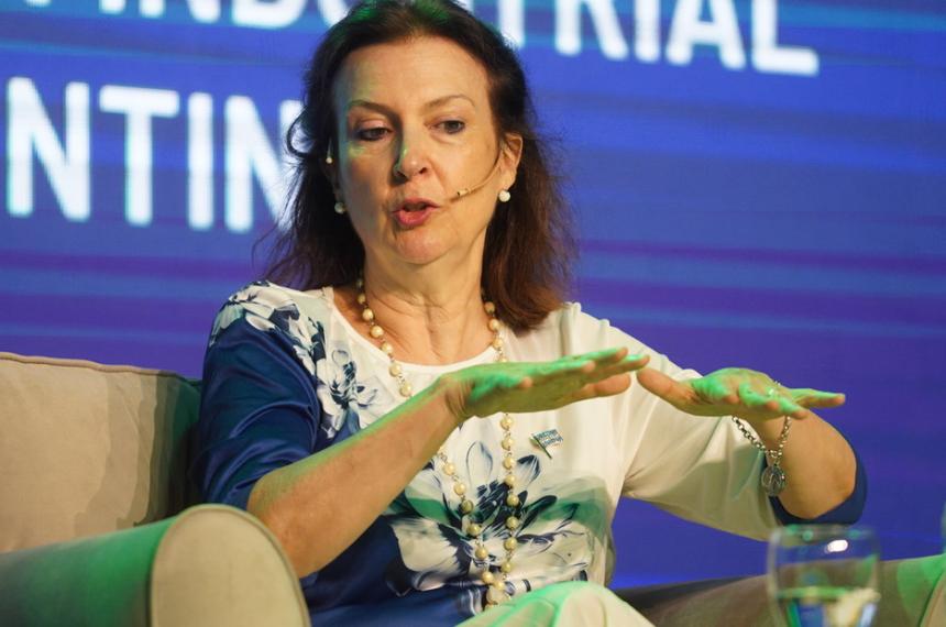 Mondino a industriales por la crisis energeacutetica- compren generadores