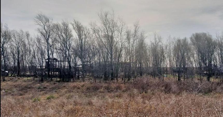 Denuncian usurpaciones de terrenos ferroviarios