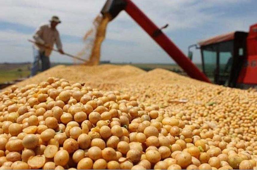 La liquidacioacuten de divisas de los agroexportadores se derrumboacute 41-en-porciento- en noviembre