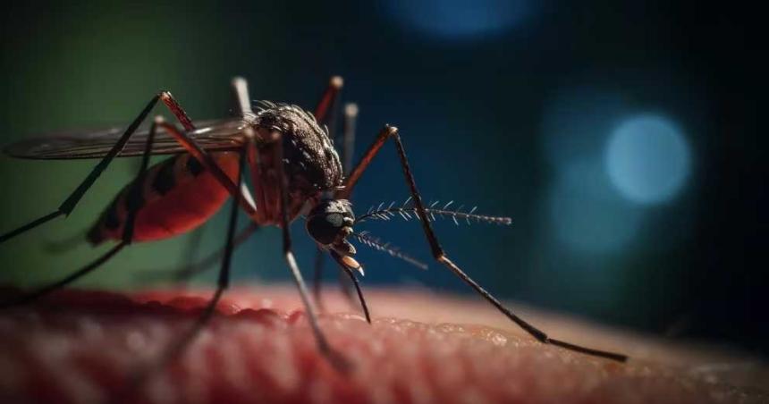 Virus en mosquitos- cuaacuteles son los 9 patoacutegenos que maacutes preocupan en Ameacuterica Latina