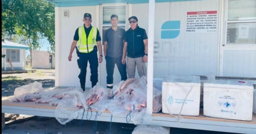 Decomisan maacutes de 500 kilos de carne en Casa de Piedra