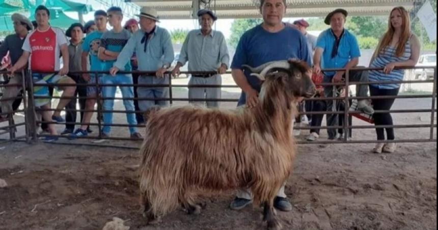 Nutrida agenda cultural y de fiestas populares en La Pampa