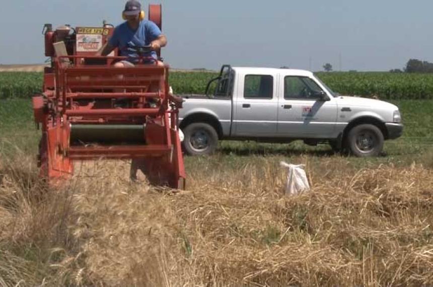 Las lluvias en las uacuteltimas semanas mejoraron los cultivos de soja y maiacutez