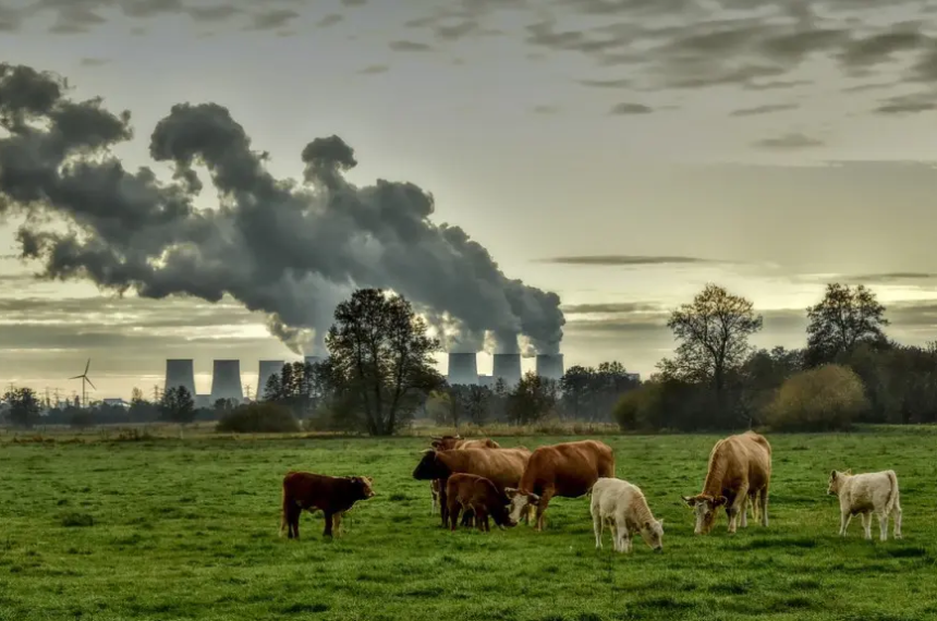 El problema de las emisiones de Gases Efecto Invernadero y la poliacutetica mundial