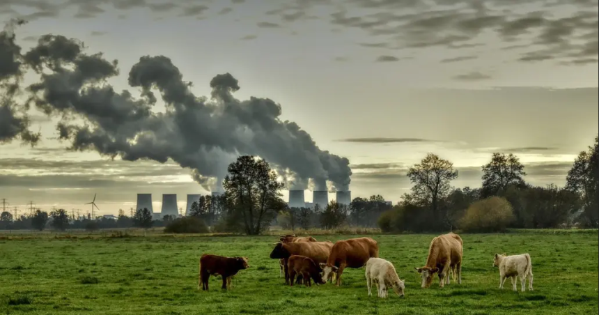 El problema de las emisiones de Gases Efecto Invernadero y la poliacutetica mundial