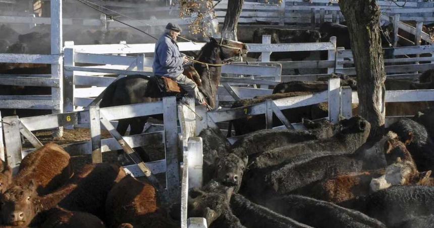 La hacienda subioacute casi 40-en-porciento- y le mete maacutes presioacuten a los precios de la carne