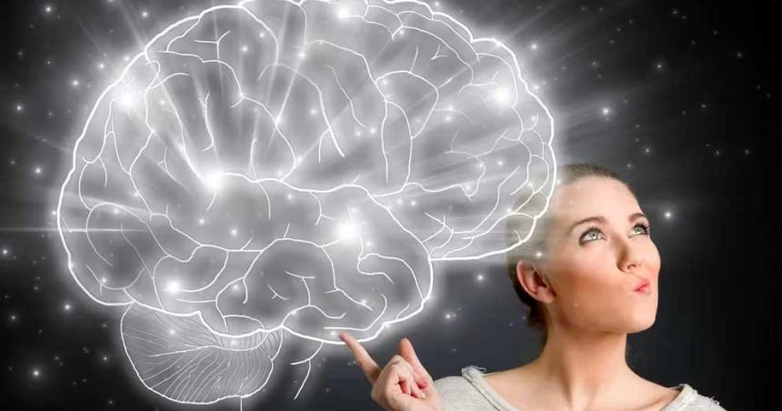 iquestQueacute ocurre en el cerebro cuando una palabra se queda en la punta de la lengua