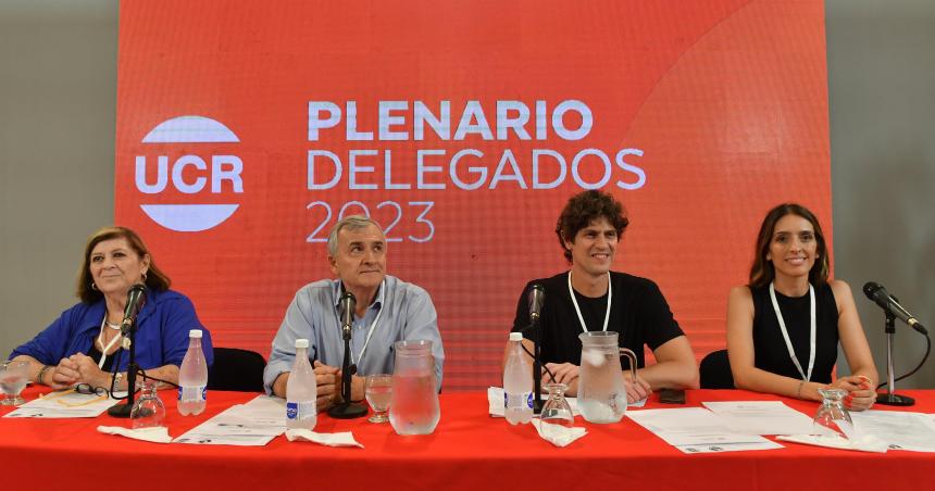 Martiacuten Lousteau es el nuevo presidente de la UCR