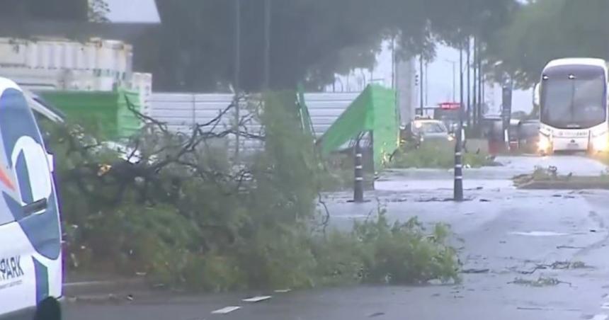 El temporal pegoacute en CABA y el Conurbano- destrozos y miles de aacuterboles tirados