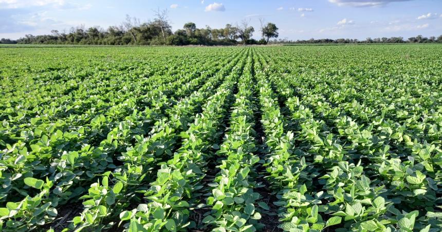Suben la retencioacuten a la soja y quedan en cero otros productos