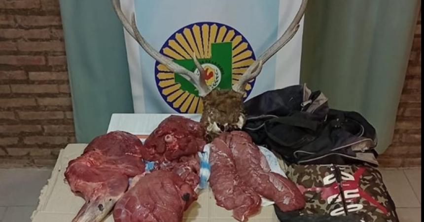 Carro Quemado- secuestran un auto una cabeza de ciervo y cortes de carne de jabaliacute