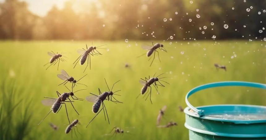 Reacutecord de casos de dengue y alerta epidemioloacutegica- piden extremar los cuidados en el verano