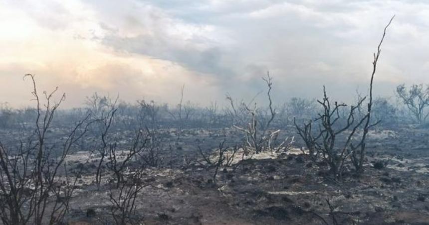 El incendio en el Parque Lihueacute Calel contenido y con poca actividad