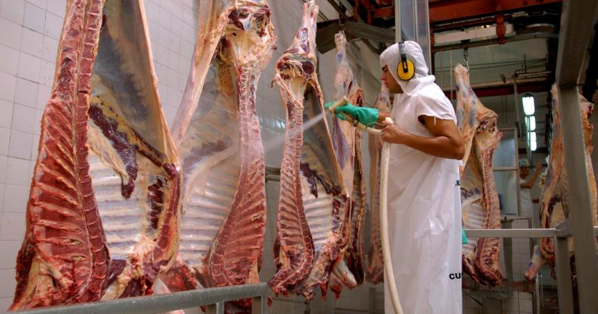 El Gobierno autorizoacute a exportar los 7 cortes populares de carne