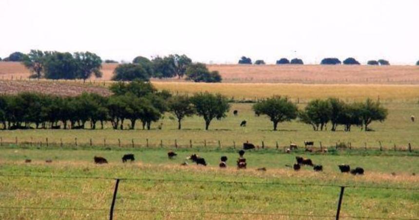 La Pampa tiene 340780 hectaacutereas en manos de extranjeros