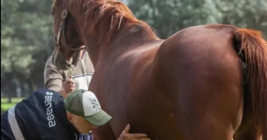 Tras la primera viacutectima fatal por encefalitis equina se encienden las alertas