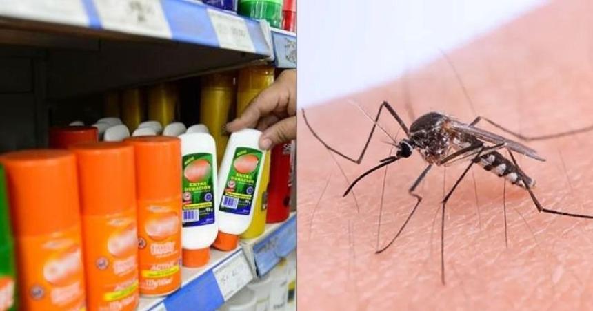 Ante la falta de repelente productos naturales y econoacutemicos para combatir los mosquitos