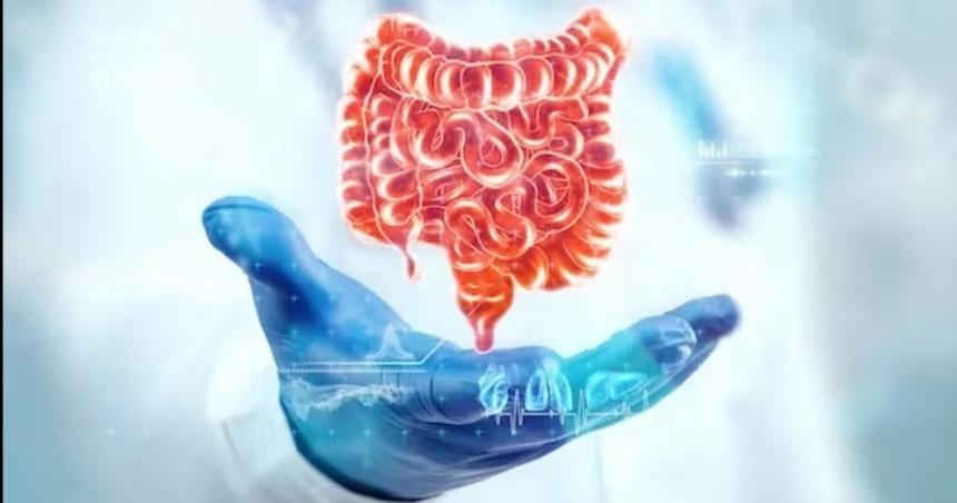 El hallazgo de cientiacuteficos argentinos que abre la puerta a una terapia contra el caacutencer de colon
