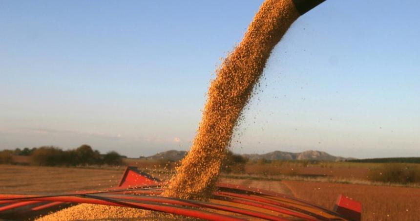 La facturacioacuten por las exportaciones de soja y maiacutez rondariacutea los US 28700 millones