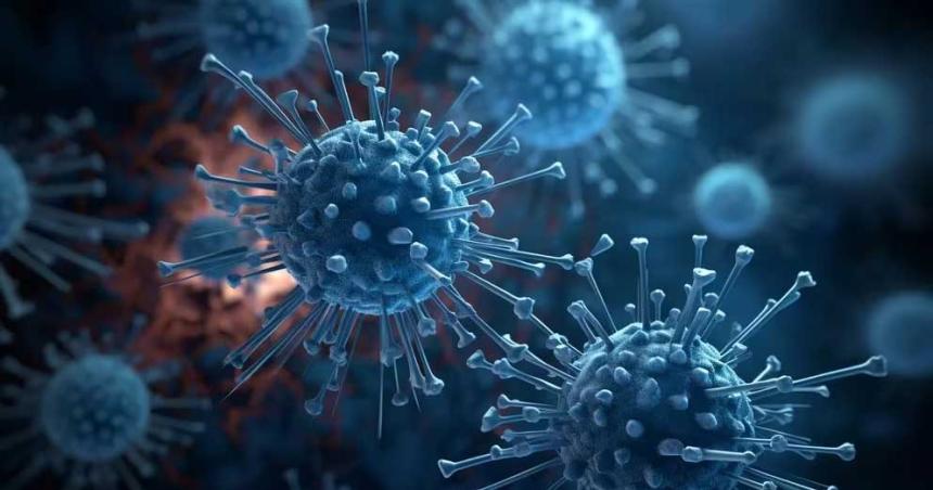 Epidemias zoonoacuteticas- por queacute son maacutes frecuentes y graves y coacutemo se pueden evitar