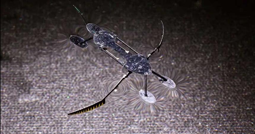 iquestAdioacutes a los cirujanos estos microrobots operan parecen un zancudo y usan asistencia humana
