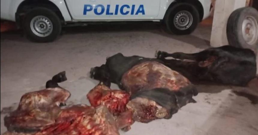 Secuestran carne y una camioneta en la Ruta Provincial 102
